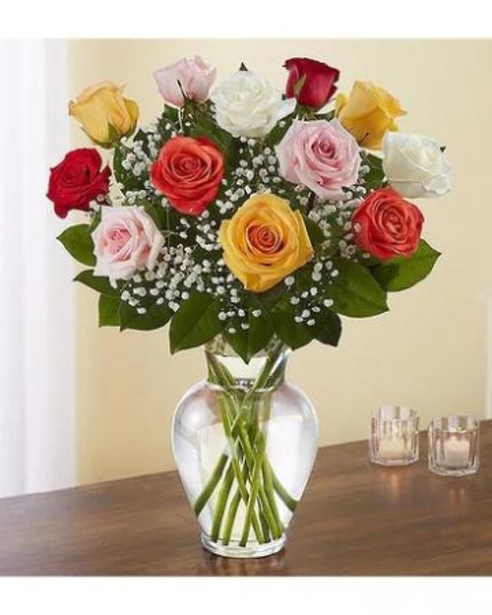 12 Mixed Color Roses