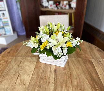 Green & White Garden Basket